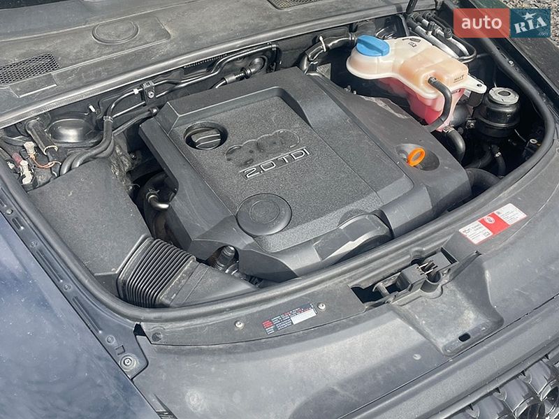 2005 Audi A6, VIN WAUZZZ4F46N030823:plate — фото 1 (autoria)