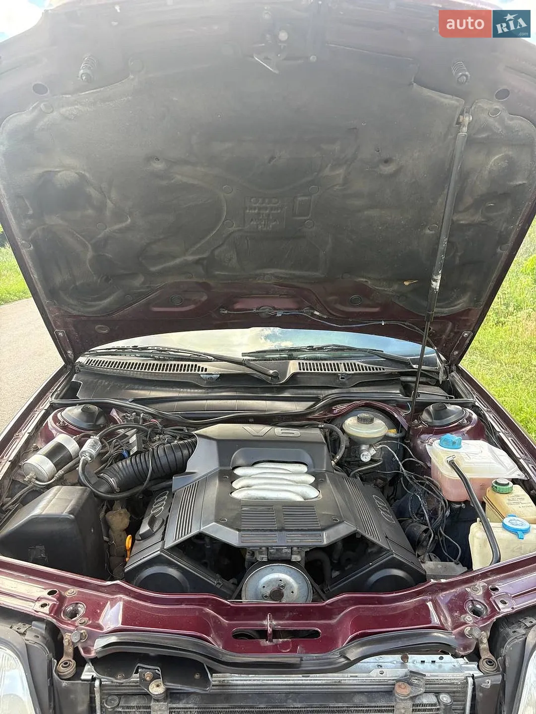 Audi A6 1996 VIN WAUZZZ4AZVN002487 фото оголошення 12 з 12