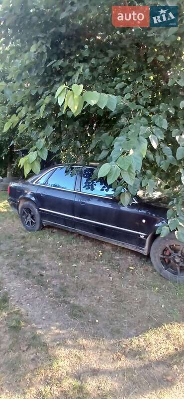 Седан Audi A8 1996 в Черновцах
