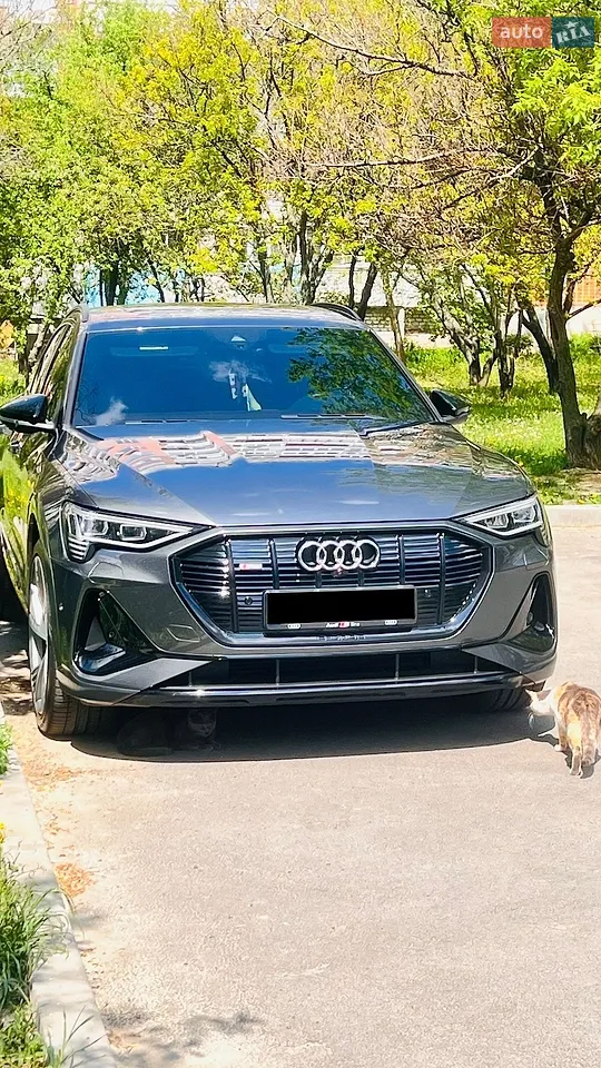 2020 Audi e-tron Sportback - мініатюра 29
