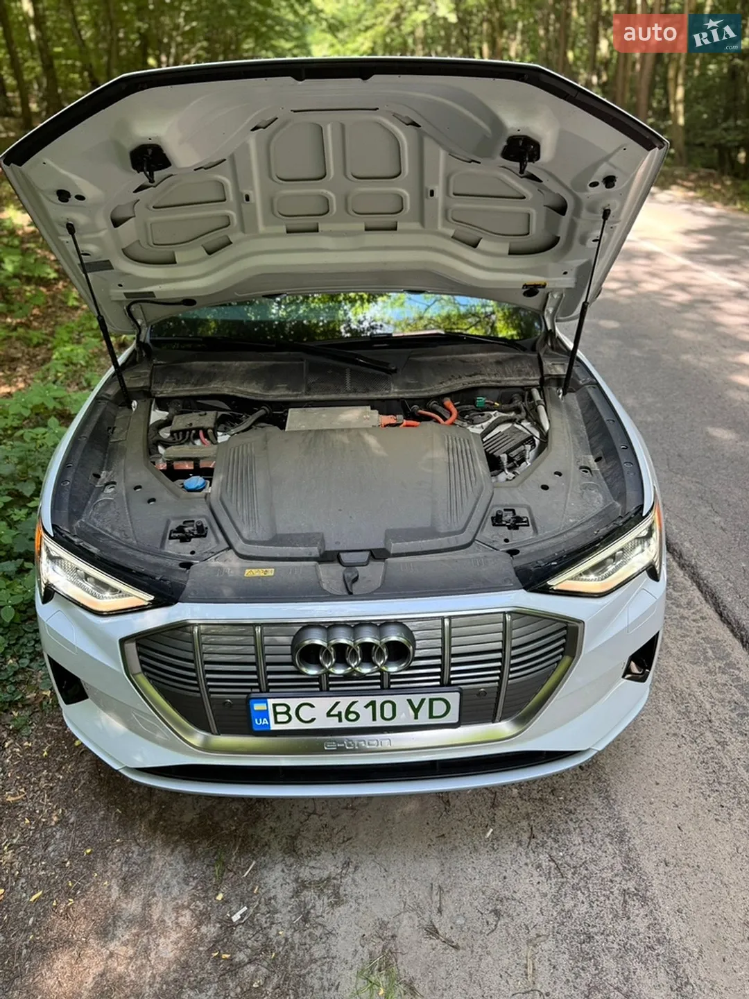 Audi e-tron Sportback 2020 VIN WA12ABGE4LB032018 фото оголошення 31 з 36