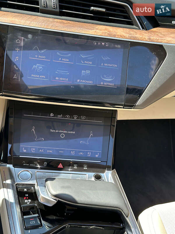 Внедорожник / Кроссовер Audi e-tron 2019 в Горохове фото 29 Внедорожник / Кроссовер Audi e-tron 2019 в Горохове