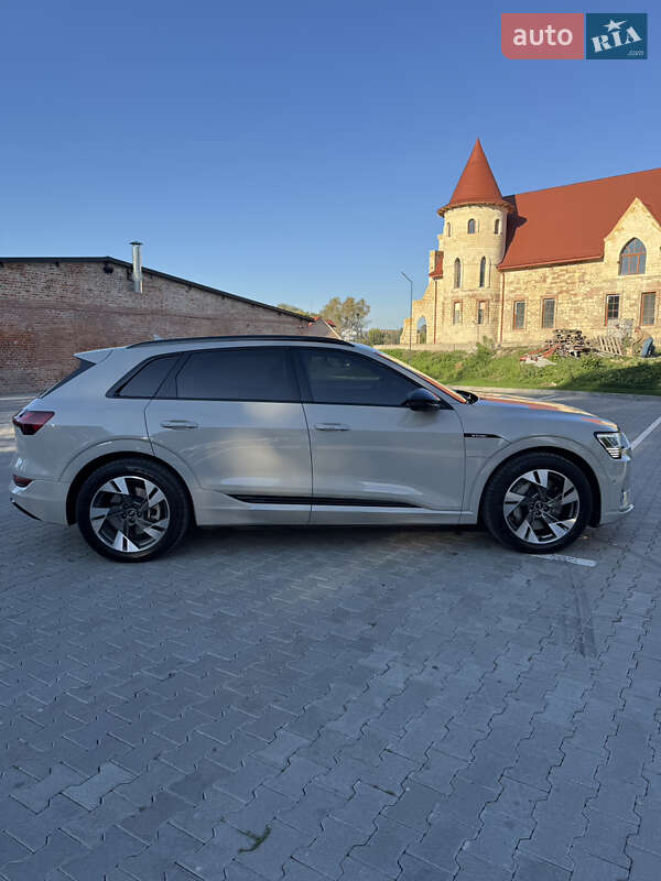 Внедорожник / Кроссовер Audi e-tron 2020 в Бережанах