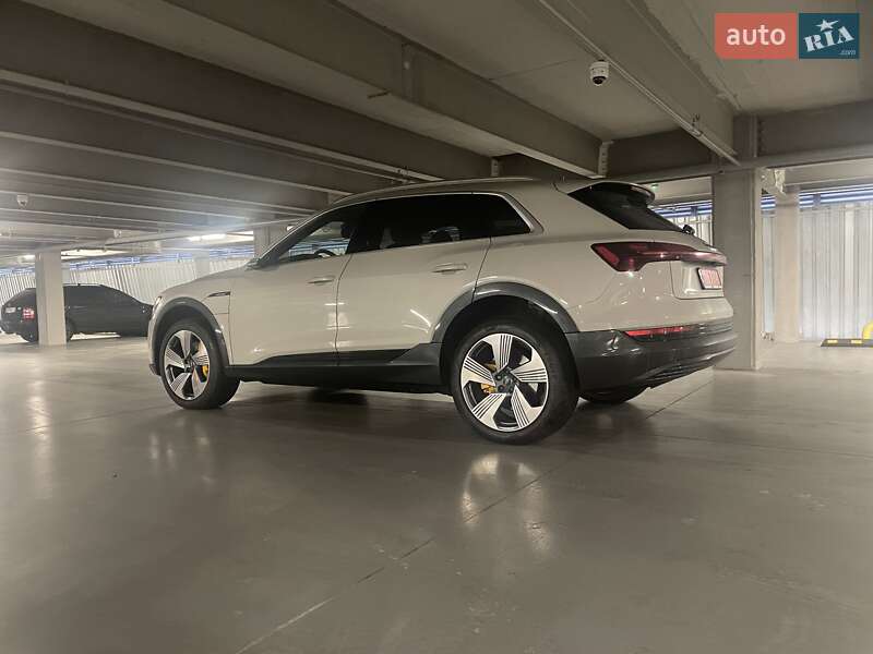 Внедорожник / Кроссовер Audi e-tron 2020 в Виннице фото 84 Внедорожник / Кроссовер Audi e-tron 2020 в Виннице