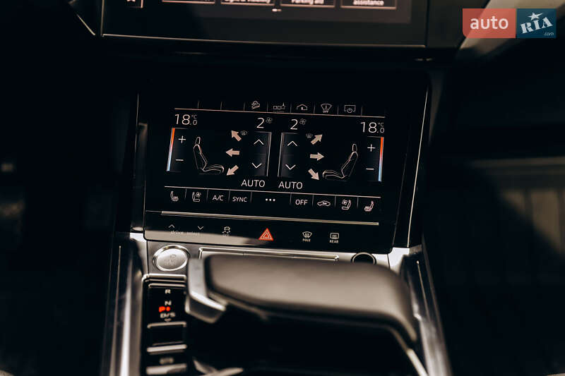 Внедорожник / Кроссовер Audi e-tron 2019 в Самборе фото 42 Внедорожник / Кроссовер Audi e-tron 2019 в Самборе