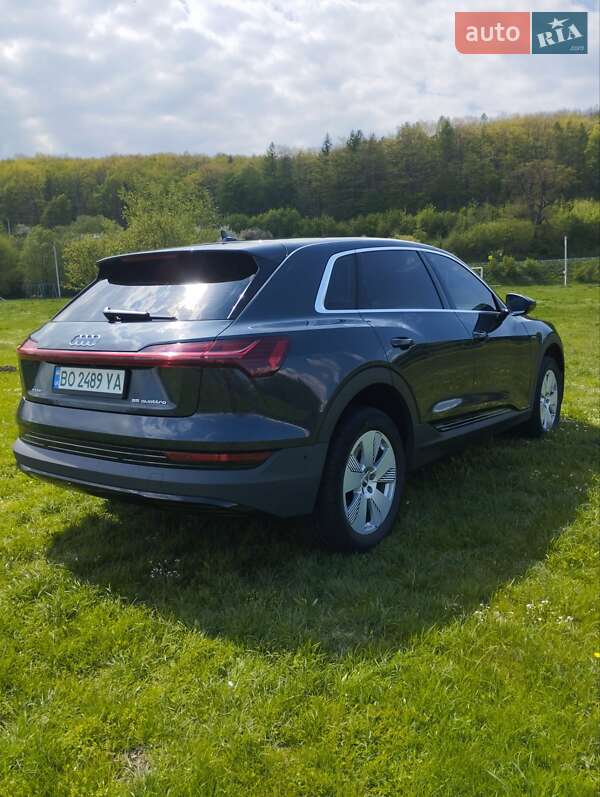 Внедорожник / Кроссовер Audi e-tron 2020 в Тернополе фото 5 Внедорожник / Кроссовер Audi e-tron 2020 в Тернополе