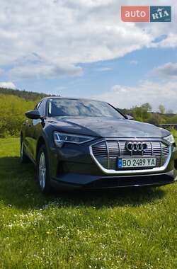 Внедорожник / Кроссовер Audi e-tron 2020 в 