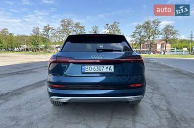 Внедорожник / Кроссовер Audi e-tron 2019 в 
