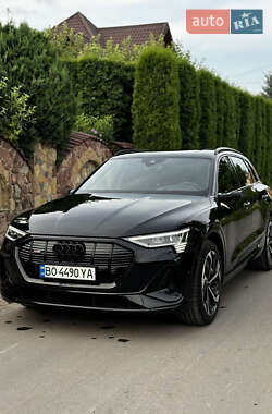 Внедорожник / Кроссовер Audi e-tron 2021 в Львове