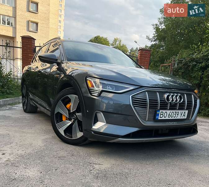 Внедорожник / Кроссовер Audi e-tron 2019 в Бучаче фото 5 Внедорожник / Кроссовер Audi e-tron 2019 в Бучаче