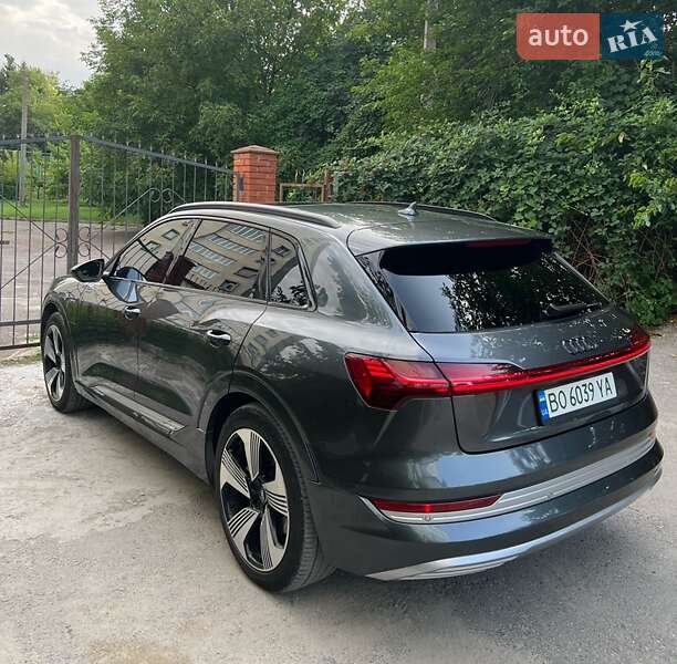 Внедорожник / Кроссовер Audi e-tron 2019 в Бучаче фото 12 Внедорожник / Кроссовер Audi e-tron 2019 в Бучаче