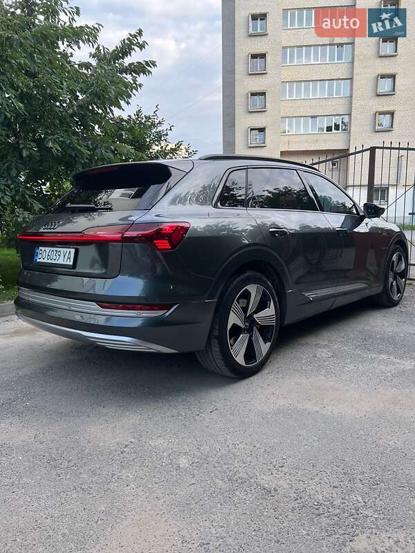 Внедорожник / Кроссовер Audi e-tron 2019 в Бучаче фото 17 Внедорожник / Кроссовер Audi e-tron 2019 в Бучаче