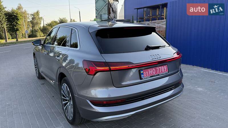 Внедорожник / Кроссовер Audi e-tron 2020 в Шепетовке фото 8 Внедорожник / Кроссовер Audi e-tron 2020 в Шепетовке