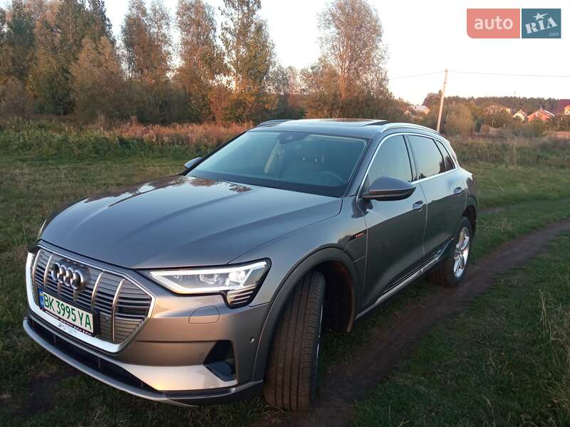 Внедорожник / Кроссовер Audi e-tron 2019 в 