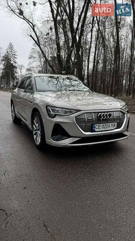 Внедорожник / Кроссовер Audi e-tron 2020 в 