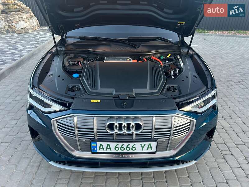 Внедорожник / Кроссовер Audi e-tron 2019 в Софиевской Борщаговке фото 19 Внедорожник / Кроссовер Audi e-tron 2019 в Софиевской Борщаговке