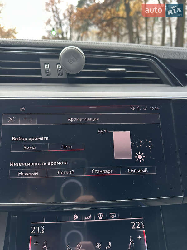 Позашляховик / Кросовер Audi e-tron 2019 в Ірпені фото 29 Позашляховик / Кросовер Audi e-tron 2019 в Ірпені