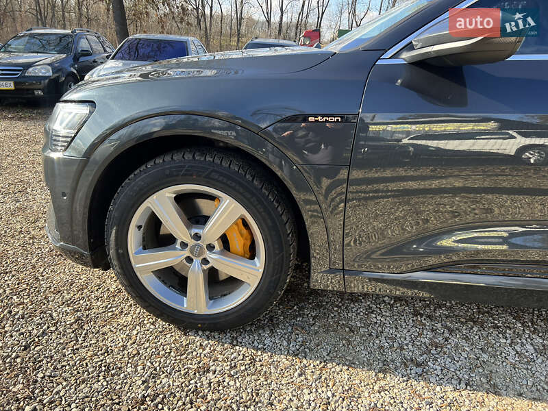 Внедорожник / Кроссовер Audi e-tron 2019 в Залещиках фото 7 Внедорожник / Кроссовер Audi e-tron 2019 в Залещиках