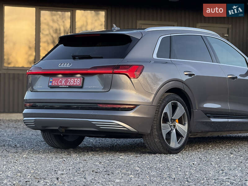 Позашляховик / Кросовер Audi e-tron 2019 в Дрогобичі фото 19 Позашляховик / Кросовер Audi e-tron 2019 в Дрогобичі