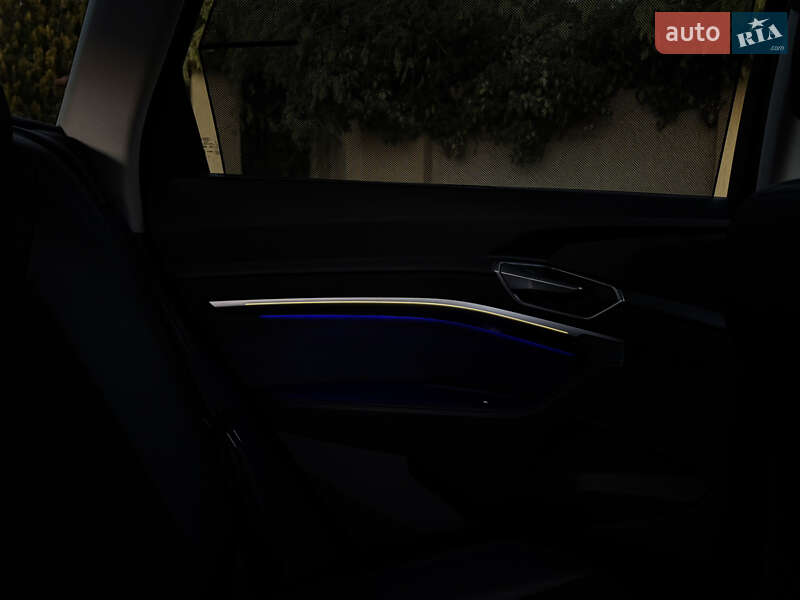 Внедорожник / Кроссовер Audi e-tron 2020 в Ужгороде фото 23 Внедорожник / Кроссовер Audi e-tron 2020 в Ужгороде