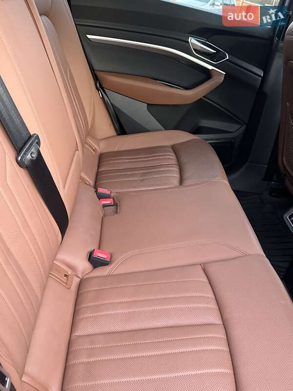 Внедорожник / Кроссовер Audi e-tron 2019 в Дрогобыче фото 18 Внедорожник / Кроссовер Audi e-tron 2019 в Дрогобыче