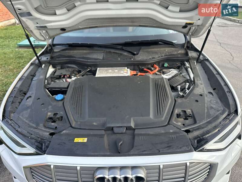 Внедорожник / Кроссовер Audi e-tron 2019 в Дрогобыче фото 44 Внедорожник / Кроссовер Audi e-tron 2019 в Дрогобыче