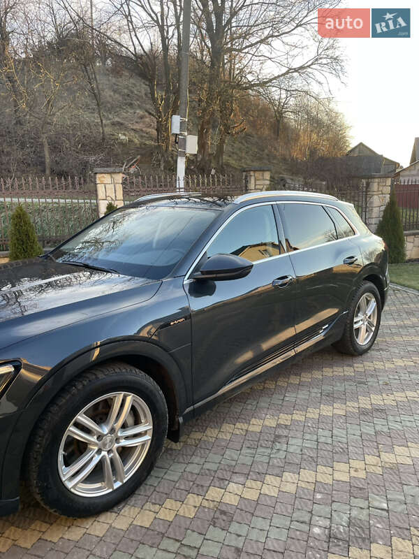 Внедорожник / Кроссовер Audi e-tron 2020 в Самборе фото 15 Внедорожник / Кроссовер Audi e-tron 2020 в Самборе