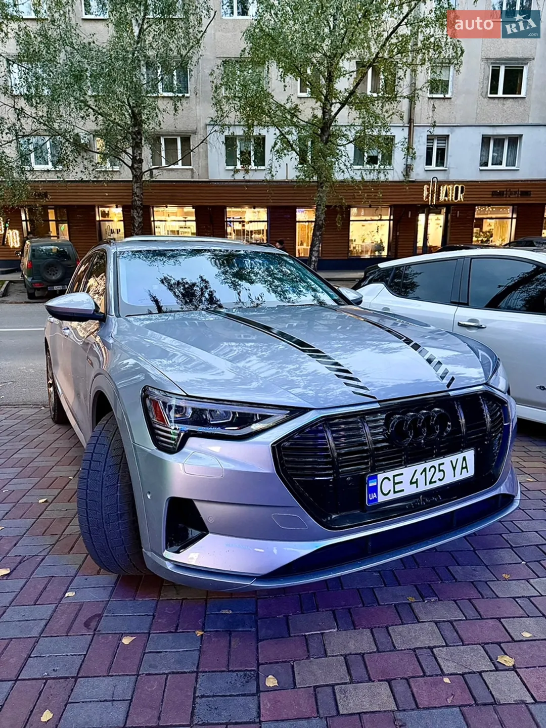 2019 Audi e-tron - мініатюра 16