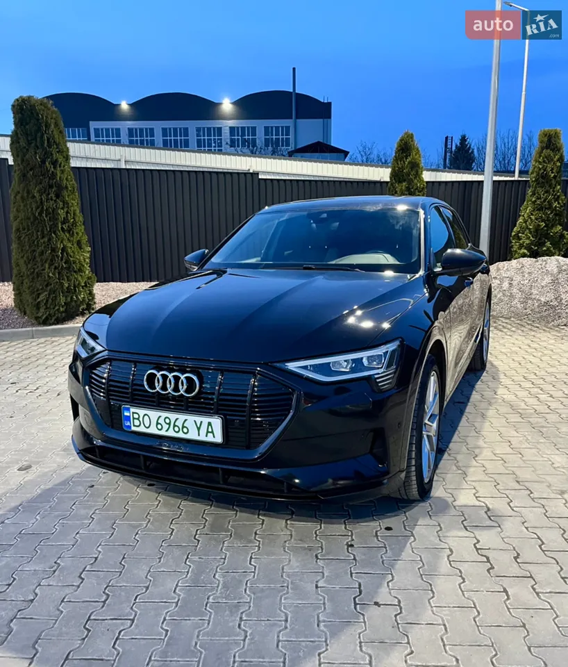 2019 Audi e-tron - мініатюра 54