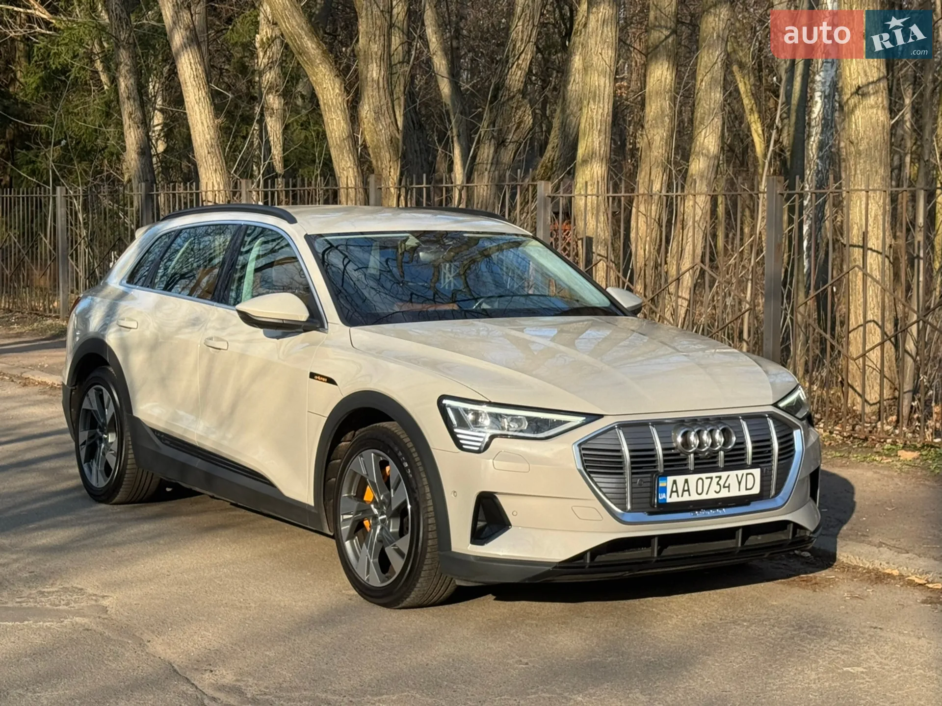 2019 Audi e-tron - мініатюра 3