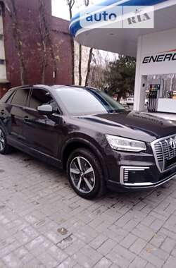 Внедорожник / Кроссовер Audi Q2L e-tron 2021 в Каменском