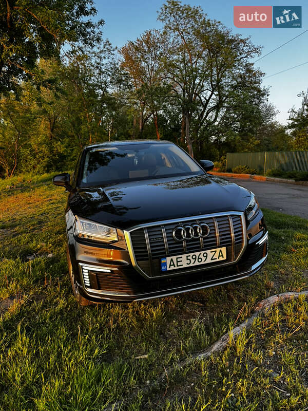 Позашляховик / Кросовер Audi Q2L e-tron 2021 в Кам'янському фото 4 Позашляховик / Кросовер Audi Q2L e-tron 2021 в Кам'янському