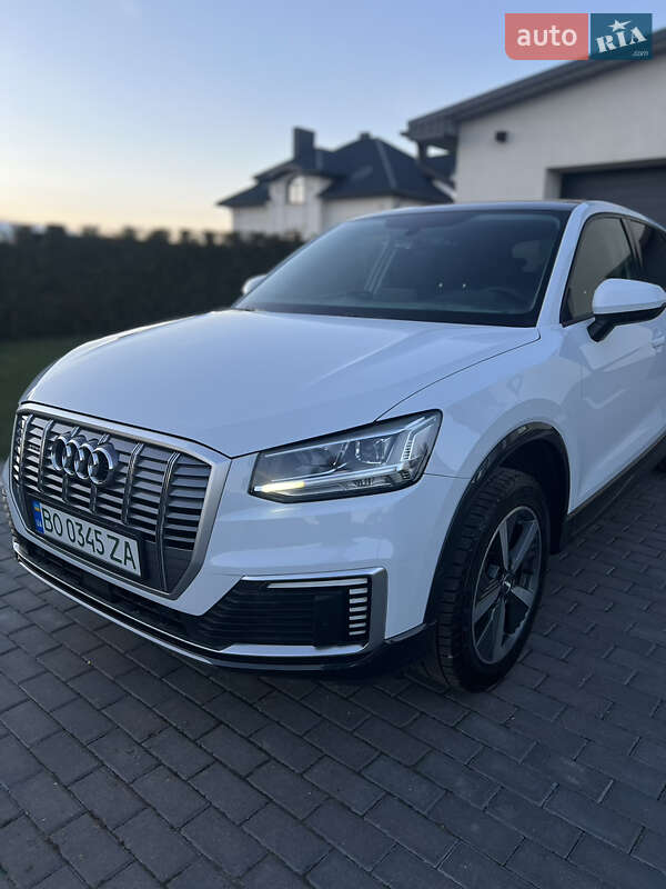 Позашляховик / Кросовер Audi Q2L e-tron 2021 в Тернополі