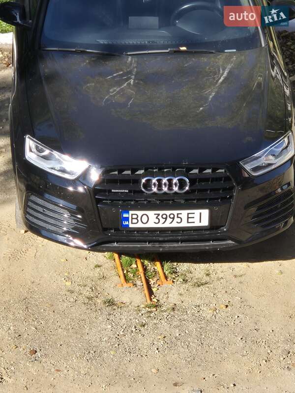 Внедорожник / Кроссовер Audi Q3 2017 в Теребовле