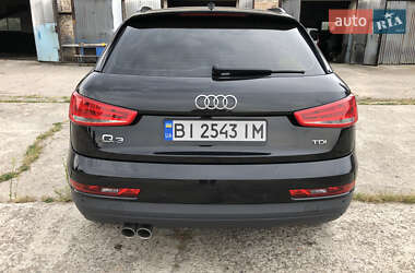 Внедорожник / Кроссовер Audi Q3 2017 в 