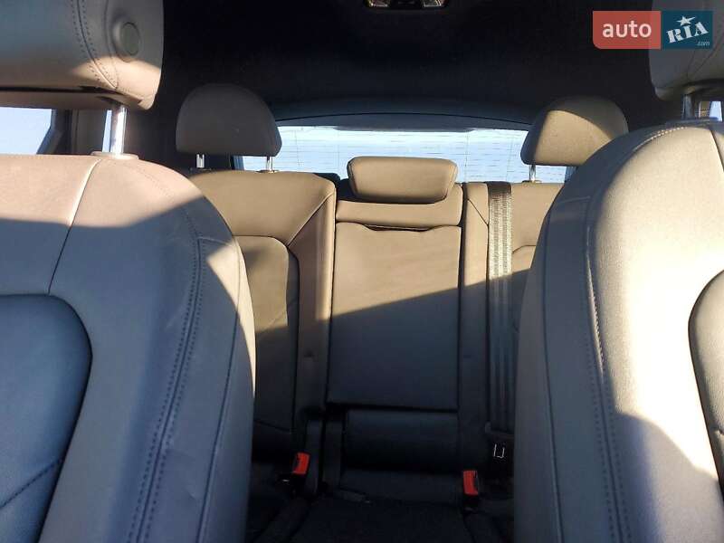 Внедорожник / Кроссовер Audi Q3 2021 в Ужгороде