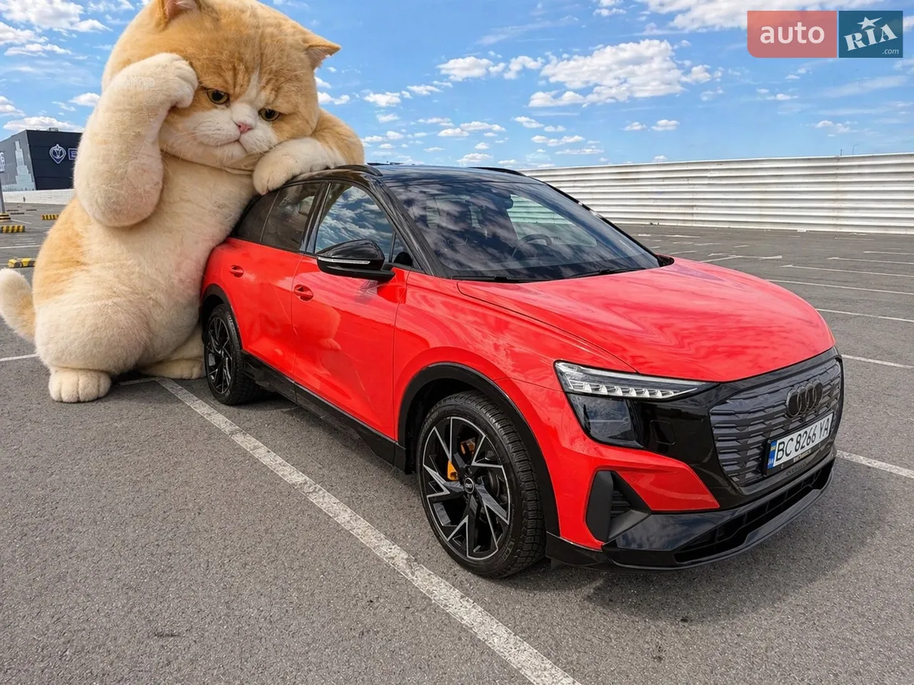 2022 Audi Q5 - мініатюра 75
