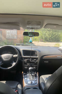 Внедорожник / Кроссовер Audi Q5 2013 в Житомире