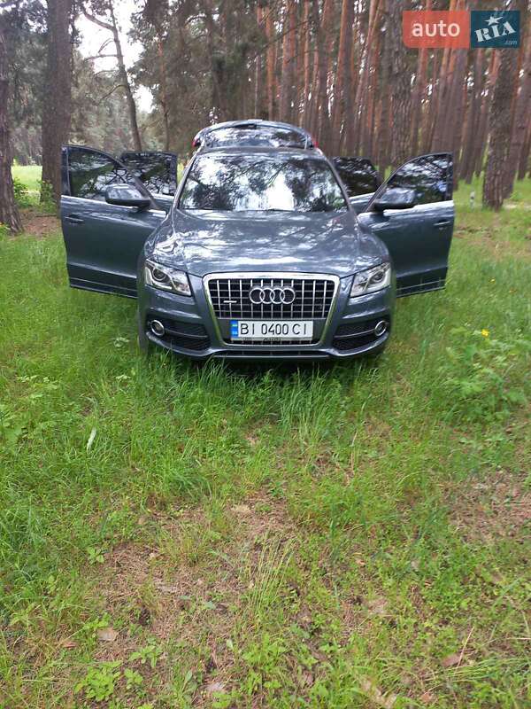 Внедорожник / Кроссовер Audi Q5 2010 в Гадяче