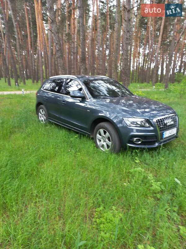 Внедорожник / Кроссовер Audi Q5 2010 в Гадяче
