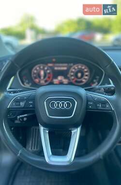 Внедорожник / Кроссовер Audi Q5 2019 в 