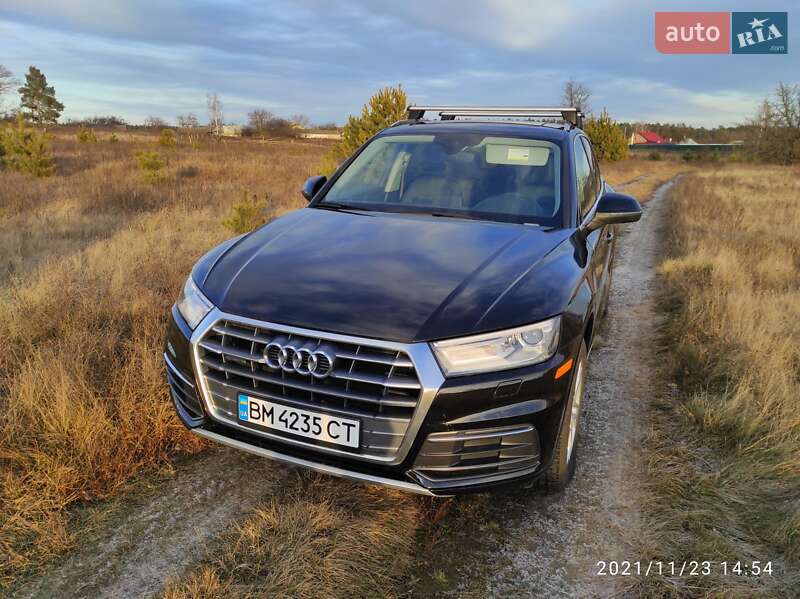 Внедорожник / Кроссовер Audi Q5 2019 в Шостке фото 6 Внедорожник / Кроссовер Audi Q5 2019 в Шостке