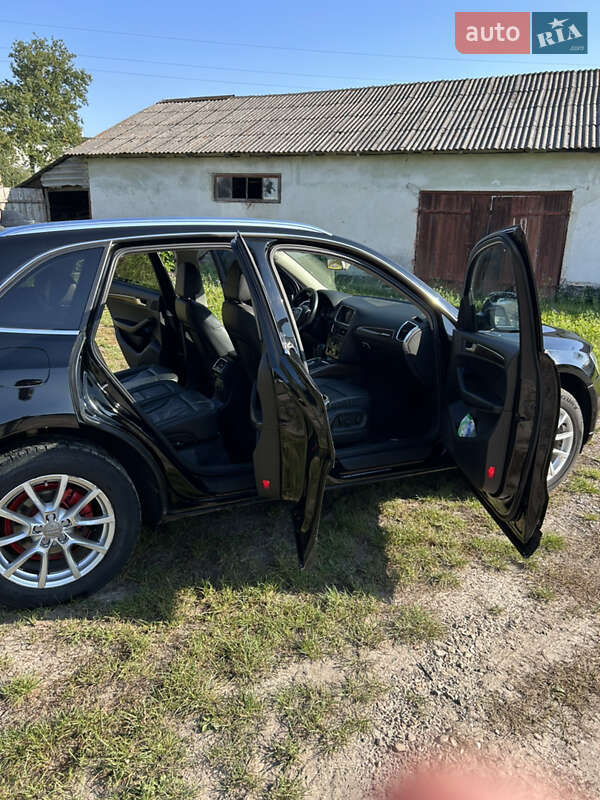 Внедорожник / Кроссовер Audi Q5 2010 в Радехове фото 11 Внедорожник / Кроссовер Audi Q5 2010 в Радехове