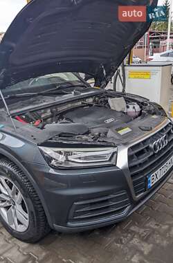 Внедорожник / Кроссовер Audi Q5 2019 в 