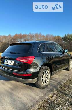 Внедорожник / Кроссовер Audi Q5 2009 в Львове