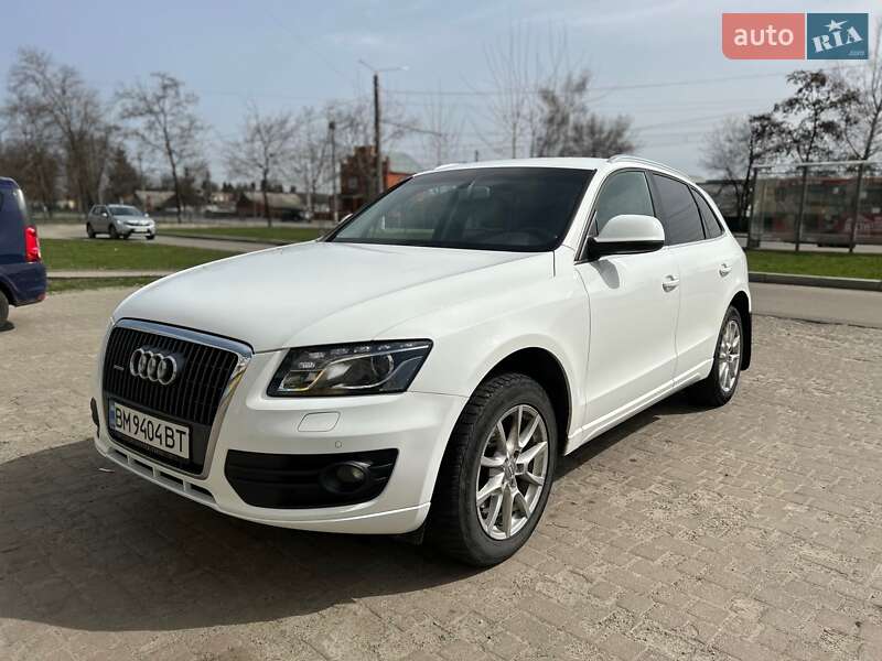 Audi Q5 2010