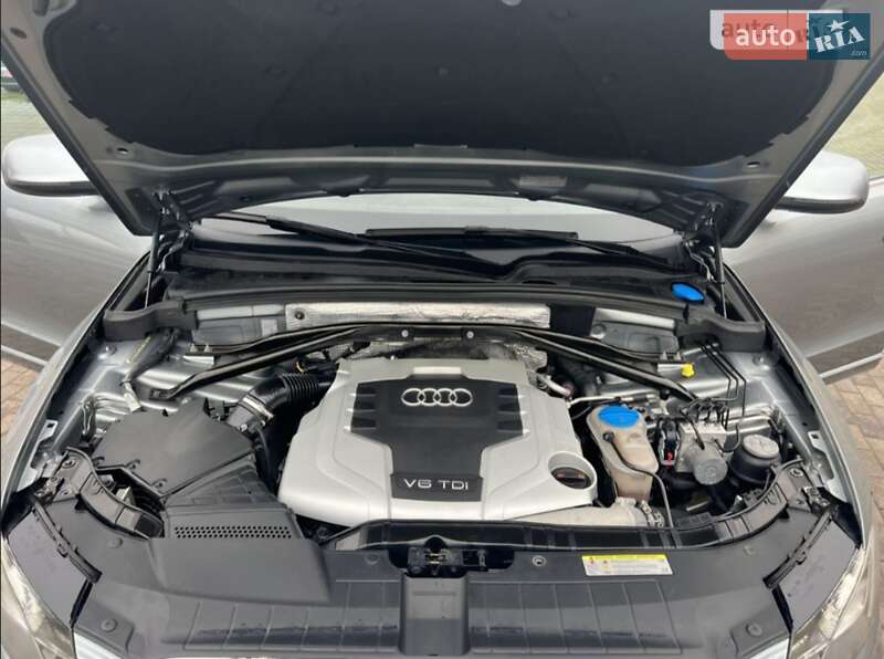 Внедорожник / Кроссовер Audi Q5 2010 в Лубнах фото 15 Внедорожник / Кроссовер Audi Q5 2010 в Лубнах