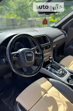 Audi Q5 2010