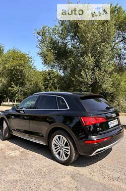 Внедорожник / Кроссовер Audi Q5 2019 в Днепре