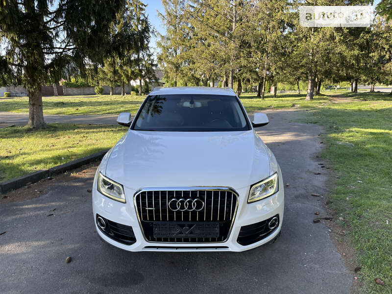 Внедорожник / Кроссовер Audi Q5 2015 в Черновцах фото 25 Внедорожник / Кроссовер Audi Q5 2015 в Черновцах